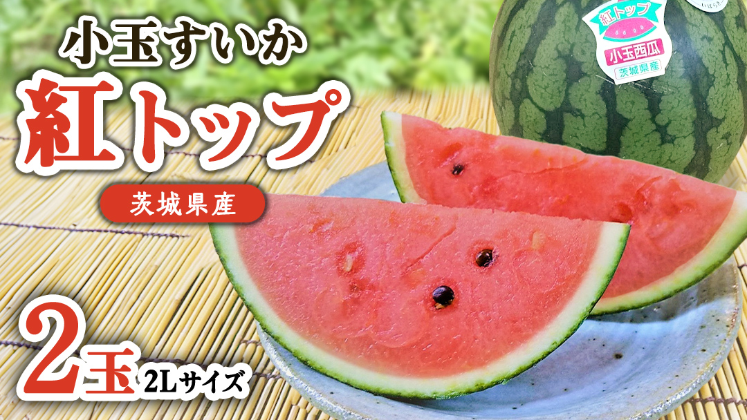 【 先行予約 】 希少品種 「 紅トップ 」 茨城県産 小玉 すいか 2玉入り 2Lサイズ スイカ [AG005ci]