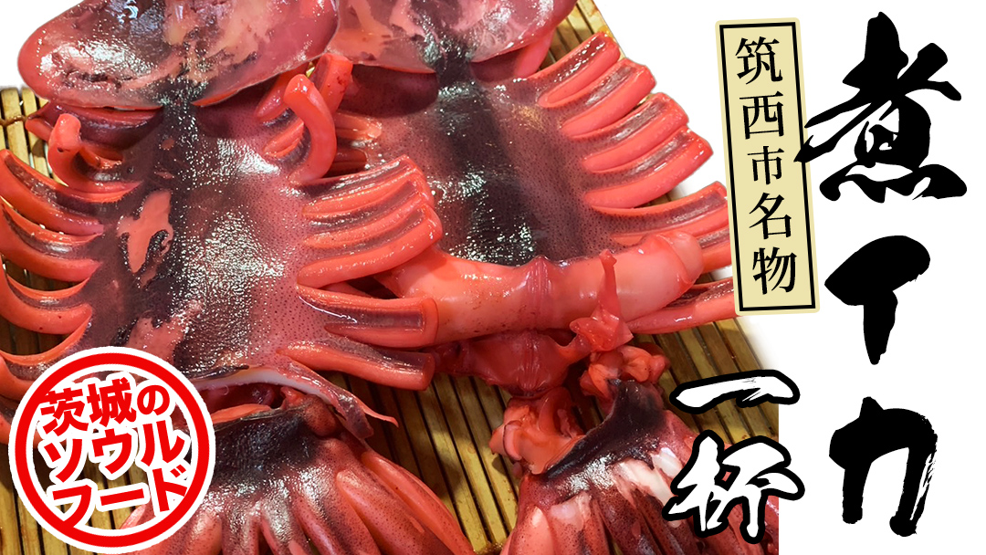 筑西市名物 煮イカ（一杯） いか 筑西 茨城 ソウルフード ご当地グルメ 名物 海鮮 魚介 冷凍 ［BW088ci］