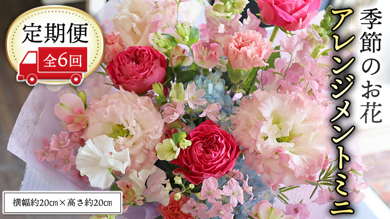 ≪定期便≫季節のお花アレンジメントミニ＊6回 アレンジメント 生花 [CT013ci]