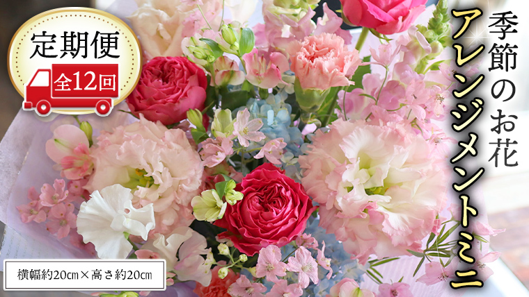 ≪定期便≫季節のお花アレンジメントミニ＊12回 アレンジメント 生花 [CT014ci]