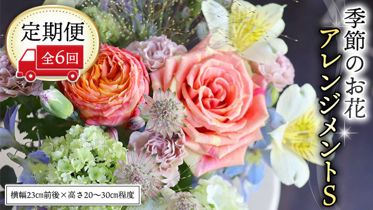 ≪定期便≫季節のお花アレンジメントS＊6回 アレンジメント 生花 [CT017ci]