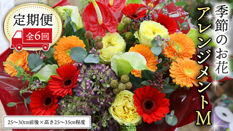 ≪定期便≫季節のお花アレンジメントM＊6回 アレンジメント 生花 [CT020ci]