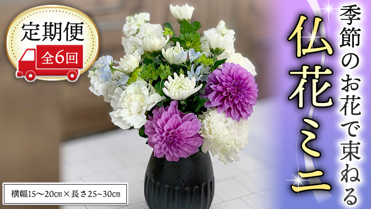 ≪定期便≫季節のお花で束ねる仏花ミニ＊6回 花束 仏花 生花 お供え [CT023ci]