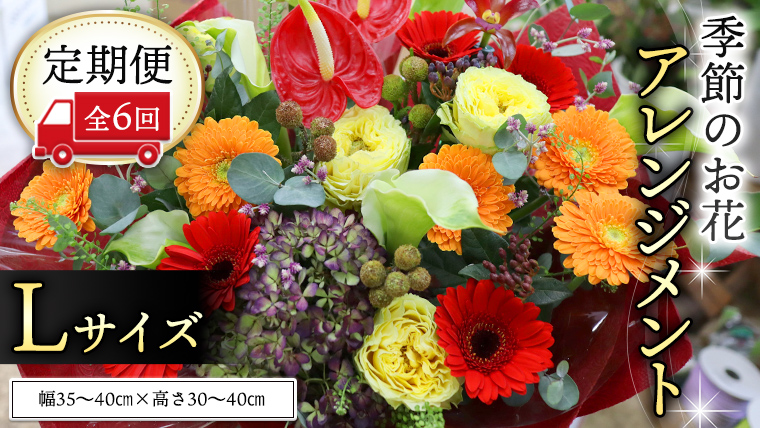 【 定期便 6ヶ月 】 毎月届く 季節の アレンジメント Lサイズ 花 生花 6回 おうち時間 定期便 新生活 応援 [CT064ci]
