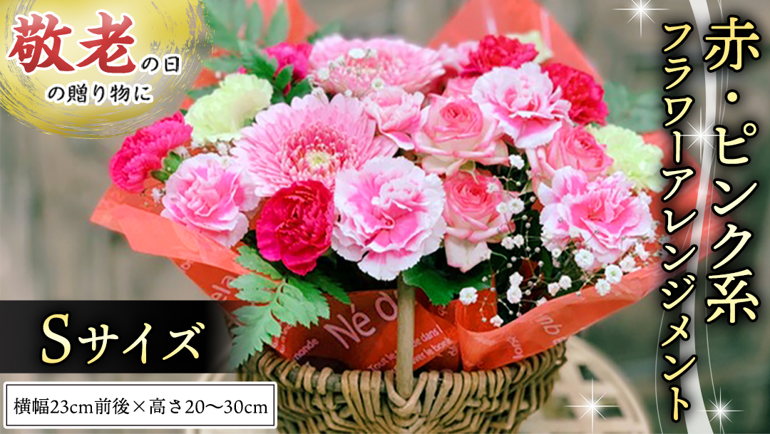 【 敬老の日 】 フラワー アレンジメント S 赤 ・ ピンク 系 ギフト プレゼント 花 お祝い 贈答 記念日 [CT079ci]