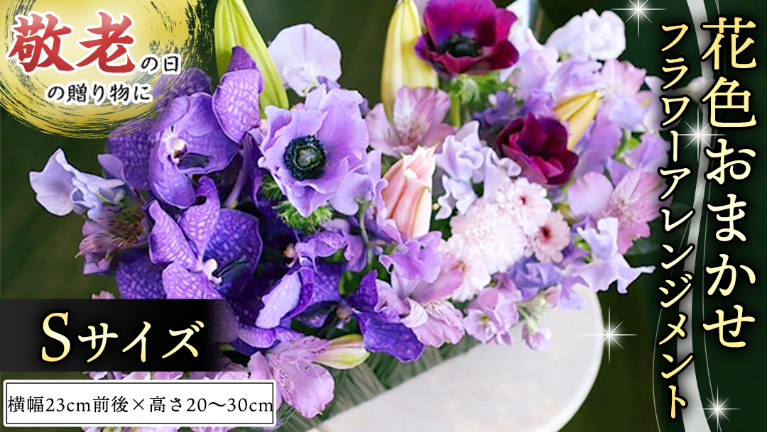 【 敬老の日 】 フラワー アレンジメントS 花色おまかせ ギフト プレゼント 花 お祝い 贈答 記念日 [CT081ci]