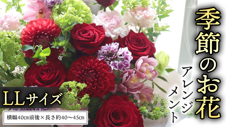 季節の お花 の アレンジメント LL ギフト プレゼント 花 お祝い 贈答 記念日 フラワー  [CT142ci]