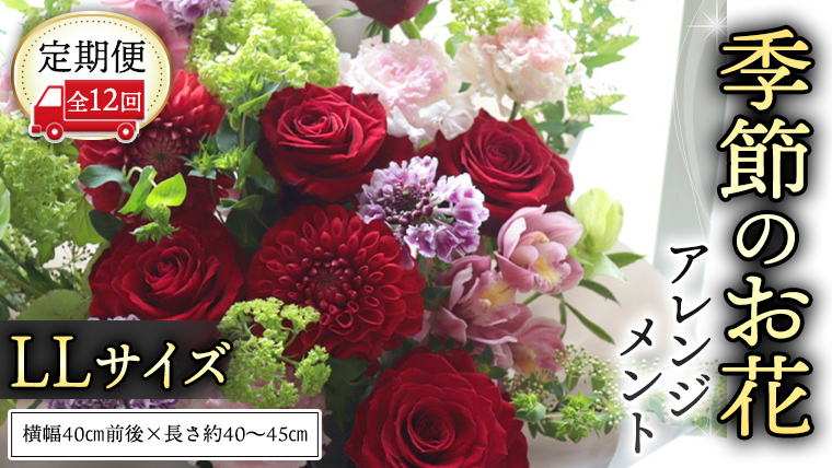 【 定期便 12か月 】季節の お花 の アレンジメント LL ギフト プレゼント 花 お祝い 贈答 記念日 フラワー  [CT144ci]