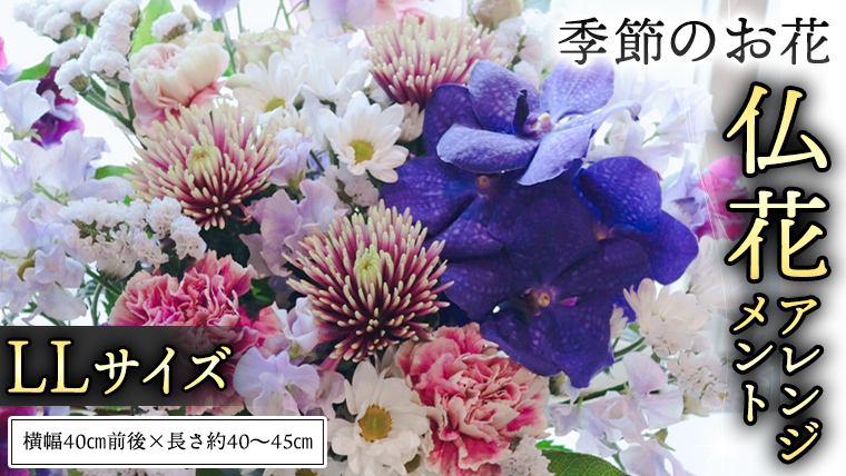 季節の お花 の 仏花 アレンジメント LL ギフト プレゼント 花 お祝い 贈答 記念日 フラワー  [CT146ci]
