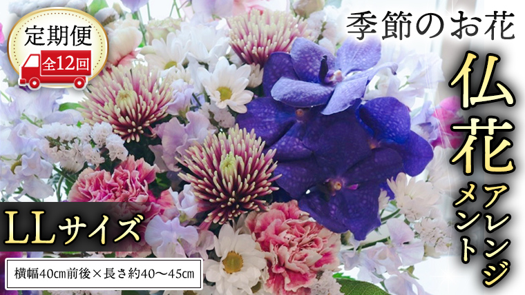 【 定期便 12か月 】季節の お花 の 仏花 アレンジメント LL ギフト プレゼント 花 お祝い 贈答 記念日 フラワー  [CT148ci]