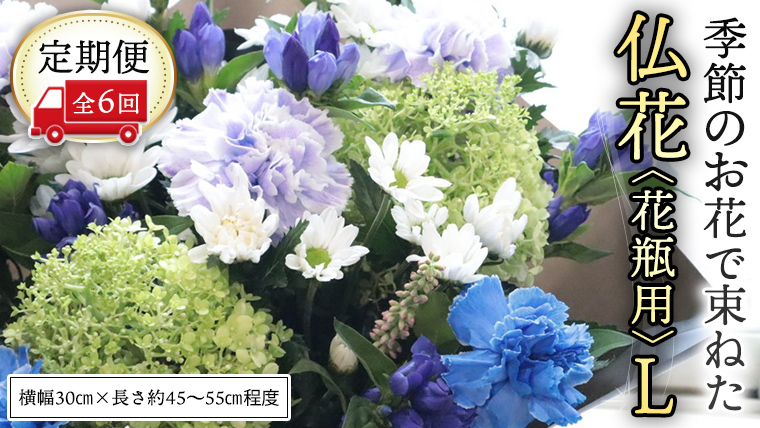 【 定期便 6回】季節の お花 で束ねた仏花【花瓶用】L 花 仏花 生花 お供え [CT154ci]