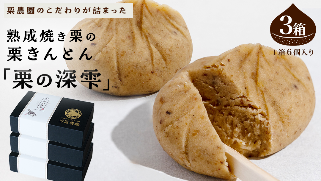 栗きんとん 「 栗の深雫 」 3箱 ～くりのしずく～ 18個 完熟 栗 くり クリ 和菓子 おかし お菓子 贈り物 ギフト 果物 フルーツ 秋 冬 [CX023ci]