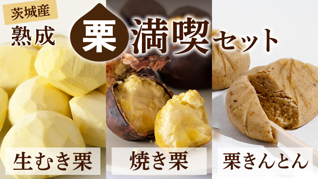 【 吉原農場 の 完熟栗 】熟成 栗 満喫 セット 令和7年産 栗の深雫 完熟  生むき栗 焼き栗 栗きんとん くり クリ 栗ごはん おかし お菓子 果物 フルーツ 数量限定 旬 秋 冬 正月 おせち [CX026ci]