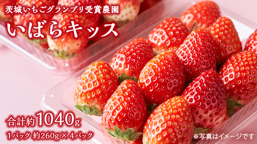 【 茨城いちごグランプリ 受賞 農園 】 完熟 いばらキッス 4パック 茨城県オリジナル品種 イチゴ 苺 フルーツ 果物 果実 [DY003ci]
