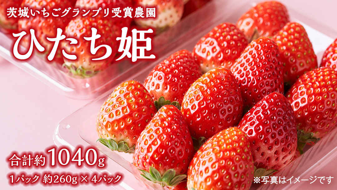 【 茨城いちごグランプリ 受賞 農園 】 完熟 ひたち姫 4パック 茨城県オリジナル品種 イチゴ 苺 フルーツ 果物 果実 [DY004ci]