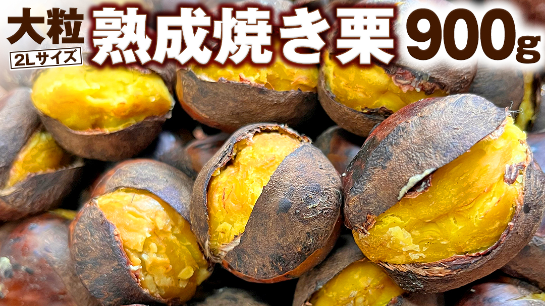 【 谷口農場 】 大粒 熟成 焼き栗 900g ( 2Lサイズ ) 300g × 3袋 完熟 栗 くり クリ 栗ごはん 果物 フルーツ　数量限定 [EC003ci]