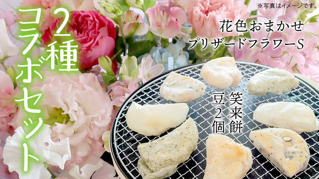 【 筑西市 ふるさと納税限定 コラボ 】 《 季節のお花アレンジメントS 》《 笑来餅 2個 セット（白2個） 》 アレンジメント 生花 ギフト プレゼント 誕生日 記念日 敬老 餅 もち もち米 [ZZ047ci]