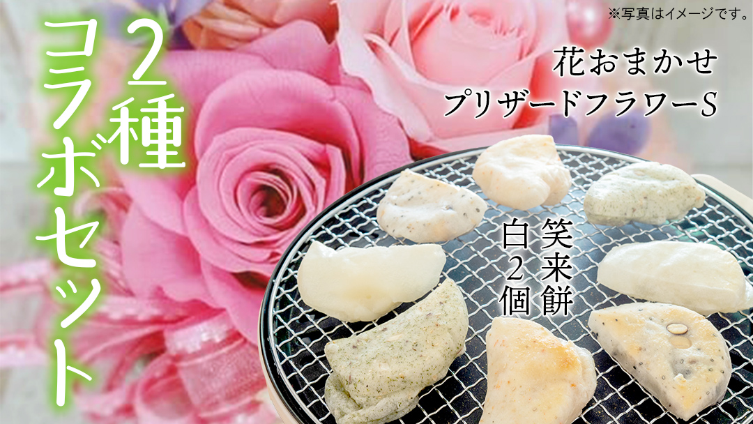 【 筑西市 ふるさと納税限定 コラボ 】 《 花色 おまかせ プリザーブド フラワー S 》《 笑来餅 2個 セット（白2個） 》 アレンジメント 生花 ギフト プレゼント 誕生日 記念日 敬老 餅 もち もち米 [ZZ048ci]