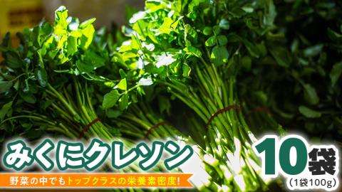 【 先行予約 】 みくにクレソン100g×10袋 美容 健康 野菜 スーパーフード クレソン [CY003ci]