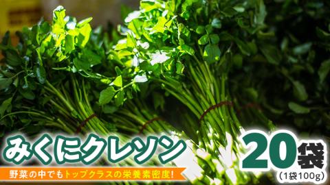 【 先行予約 】 みくにクレソン100g×20袋 美容 健康 野菜 スーパーフード クレソン [CY005ci]