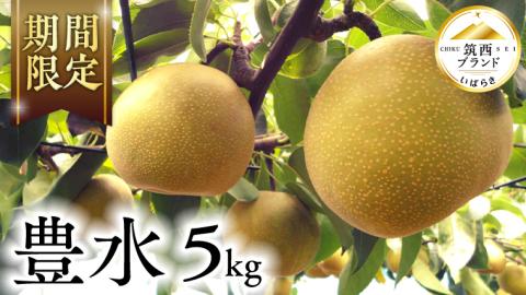 【 JA 北つくば 】 筑西ブランド 認証品 豊水 5kg 2026年産 先行予約 梨 果物 フルーツ なし ナシ 豊水梨 くだもの デザート 茨城 [AE010ci]