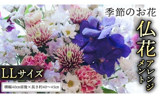 季節の お花 の 仏花 アレンジメント LL 仏花 生花 お供え [CT146ci] 単品1回：LLサイズ