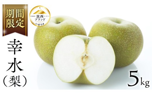 【 JA 北つくば 】 筑西ブランド 認証品 幸水 5kg 果物 2026年産 先行予約 梨 フルーツ なし ナシ 幸水梨 くだもの デザート 茨城 [AE008ci]