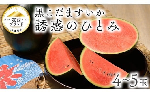 【 JA北つくば 】 黒こだますいか 「 誘惑のひとみ 」 4～5玉 2026年産 スイカ 果物 フルーツ 小玉スイカ 小玉 西瓜 くだもの デザート 茨城 [AE004ci]