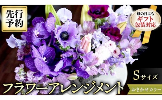 【 母の日 】 フラワー アレンジメントS 花色おまかせ ギフト プレゼント 花 お祝い 贈答 記念日 [CT081ci]
