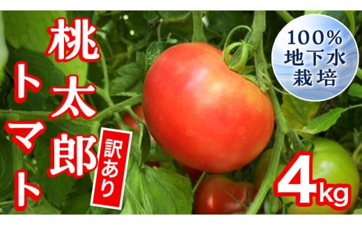 【 訳あり 】 地下水100％で作る美味しい 「 桃太郎トマト 」 4kg 野菜 桃太郎 トマト とまと 地下水 ミネラル [DU010ci]