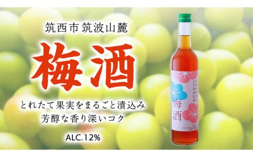 梅酒 アルコール 12％ （ 500ml × 1本 ） 果実酒 お酒 酒 梅 うめ ウメ [DP001ci]