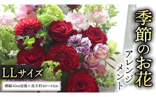 季節の お花 の アレンジメント LL ギフト プレゼント 花 お祝い 贈答 記念日 フラワー  [CT142ci] LLサイズ：単品1回