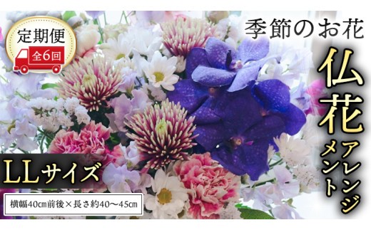 【 定期便 6か月 】季節の お花 の 仏花 アレンジメント LL 仏花 生花 お供え [CT147ci] 定期便6回：LLサイズ