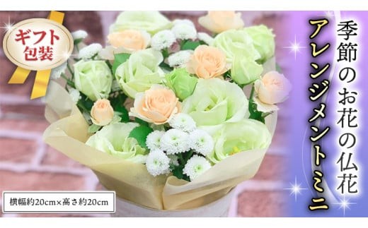 ≪ギフト≫季節のお花の仏花アレンジメントミニ アレンジメント 仏花 生花 お供え ギフト プレゼント 命日 月命日[CT025ci] 単品1回：ミニサイズ