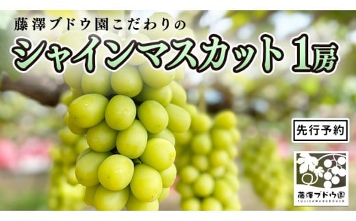 【 藤澤ブドウ園 】 こだわり の シャインマスカット 1房 約700g 2026年産 先行予約 ぶどう ブドウ 葡萄 フルーツ [AH005ci]