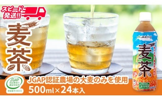 スピード発送!!【 JA 北つくば 】 JGAP認証 麦茶 1箱 ( 500ml × 24本 ) JGAP JA お茶 茶 ペットボトル 麦 大麦 二条大麦 ノンカフェイン カフェインゼロ スピード配送 [AE020ci]