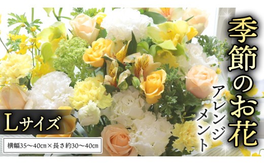 季節の お花 の アレンジメント L ギフト プレゼント 花 お祝い 贈答 記念日 フラワー  [CT141ci] Lサイズ：単品1回