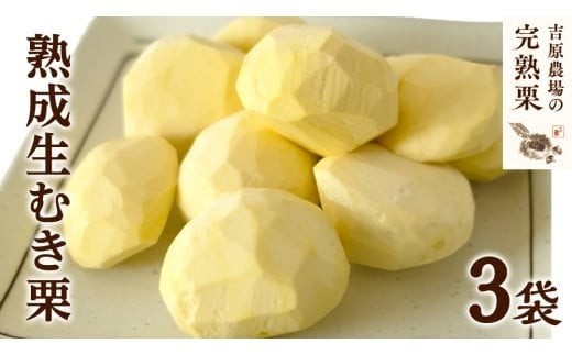 【 吉原農場 の 完熟栗 】 熟成 生むき栗 3袋 ( 120g × 3袋 ) 令和7年産 完熟 栗 くり クリ 栗ごはん 贈答 ギフト 果物 フルーツ 数量限定 旬 秋 冬 正月 おせち [CX019ci]