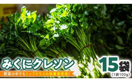 みくにクレソン100g×15袋 美容 健康 野菜 スーパーフード クレソン [CY004ci]