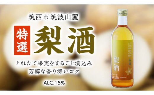 【 特選 】 梨酒 アルコール 15％ （ 500ml × 1本 ） 果実酒 お酒 酒 梨 なし ナシ [DP007ci]