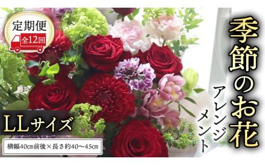 【 定期便 12か月 】季節の お花 の アレンジメント LL ギフト プレゼント 花 お祝い 贈答 記念日 フラワー  [CT144ci] LLサイズ：定期便12回