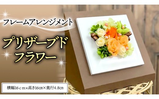 フレームアレンジメント＊プリザーブドフラワー [CT034ci]
