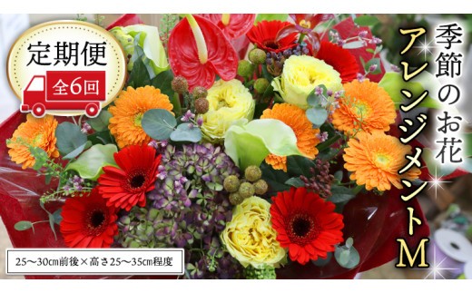 ≪定期便≫季節のお花アレンジメントM＊6回 アレンジメント 生花 [CT020ci] Mサイズ：定期便6回