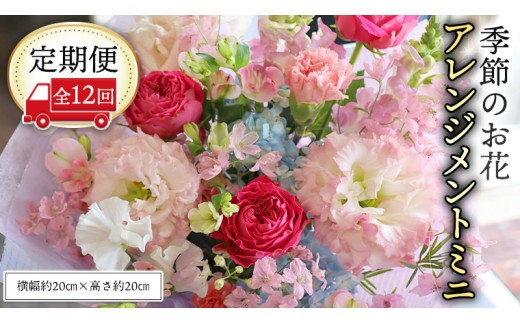 ≪定期便≫季節のお花アレンジメントミニ＊12回 アレンジメント 生花 [CT014ci] ミニサイズ：定期便12回