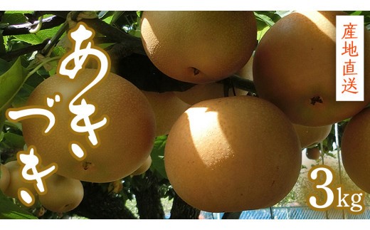 【 産地直送 】 あきづき 3kg 先行予約 梨 フルーツ 果物 国産 日本産 梨 ナシ なし 和梨 [CZ008ci]