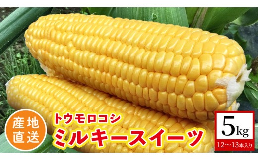 【 産地直送 】 トウモロコシ 「 ミルキースイーツ 」 先行予約 5kg 新鮮 皮付き とうもろこし コーン 野菜 [CZ010ci]