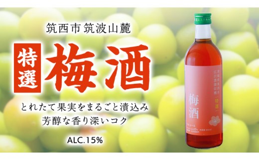 【 特選 】 梅酒 アルコール 15％（ 500ml × 1本 ） 果実酒 お酒 酒 梅 うめ ウメ [DP002ci]