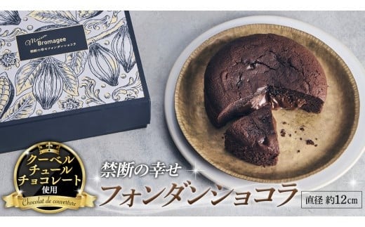 【 禁断の幸せ 】 フォンダンショコラ チョコ チョコレート 生チョコ ショコラ ケーキ デザート スイーツ 贈り物 贈答 ギフト バレンタイン ホワイトデー [CS006ci]