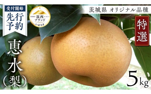 【 JA 北つくば 】 筑西ブランド 認証品 特選!! 恵水 5kg 2026年産 先行予約 梨 果物 フルーツ なし ナシ 赤梨 贈り物 贈答 贈答用 [AE025ci]