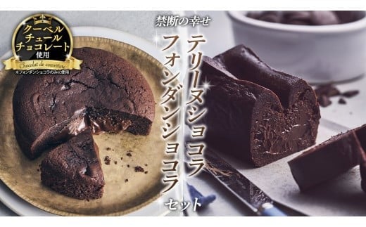 【 禁断の幸せ 】 フォンダンショコラ & テリーヌショコラ セット チョコ チョコレート 生チョコ ショコラ ケーキ デザート スイーツ テリーヌ 贈り物 贈答 ギフト バレンタイン ホワイトデー [CS008ci]